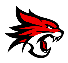 Perth Wildcats