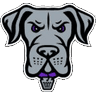 Philadelphia Waterdogs