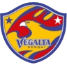veg icon