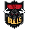 Bradford Bulls