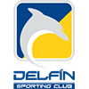 dsc icon