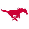 Mustangs