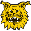 ilv icon