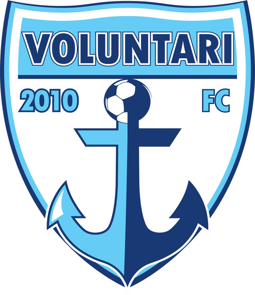 vol icon
