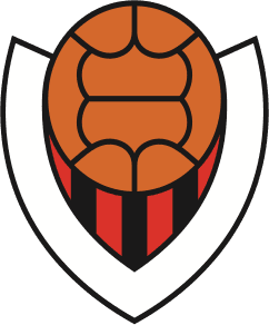 vik icon