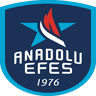 ana icon