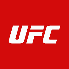 icon for UFC 278: Will Usman KO/TKO Edwards?