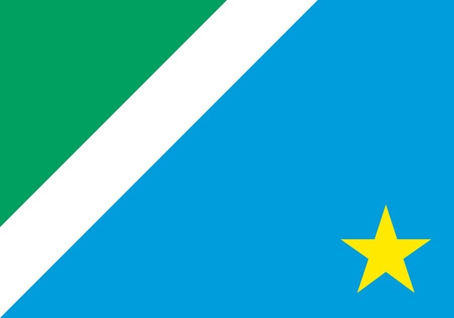 Brazil Presidential Election First Round: 1st Place in Mato Grosso do Sul - image