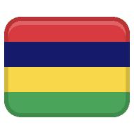 mri icon