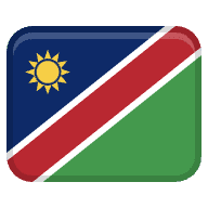 nam icon