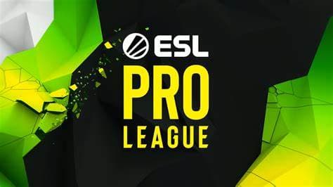 icon for ESL Pro League Season 24: Winner