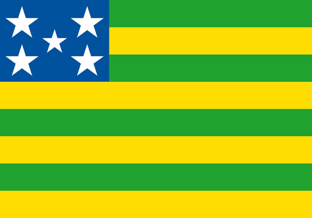Goiás Governor Election Winner - image
