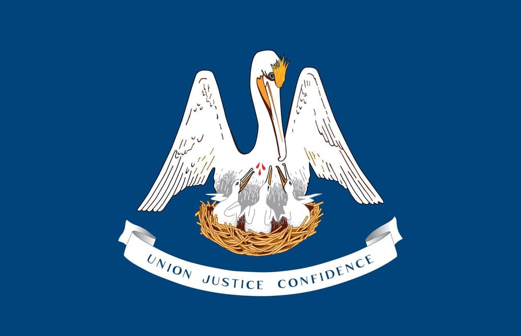icon for LA-05 Republican Primary Winner