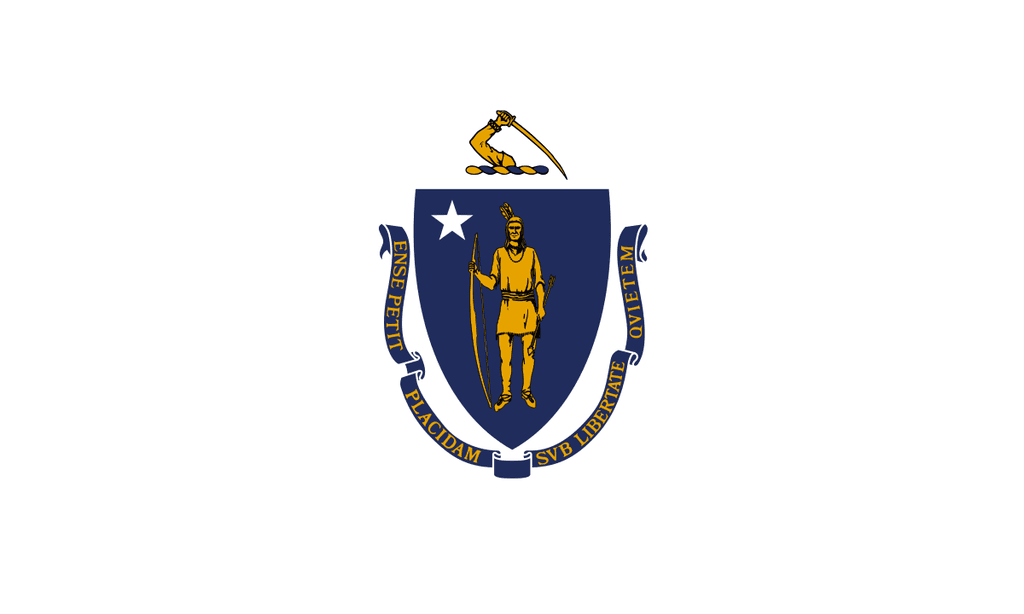 Massachusetts Democratic Senate Primary Winner card icon