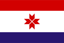 icon for Mordovia Gubernatorial Election Winner