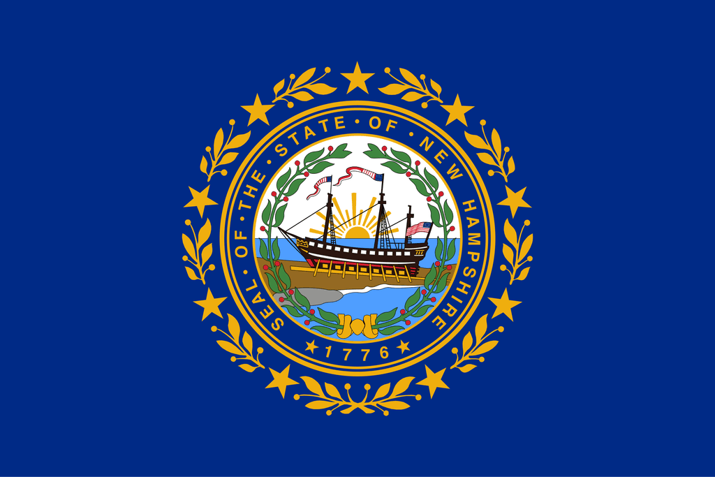 NH-01 Republican Primary Winner card icon