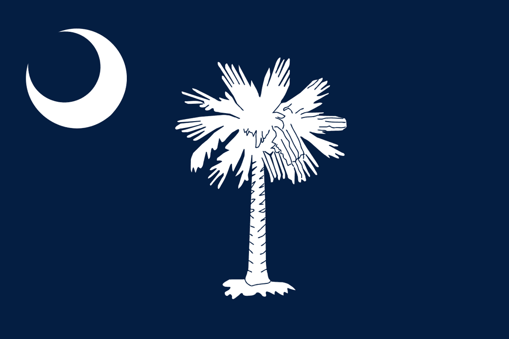 South Carolina Special Senate Republican Primary: Runoff Margin of Victory card icon