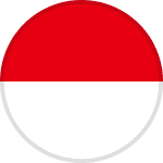 idn icon