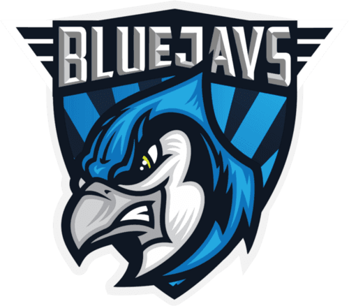 blueja1 icon