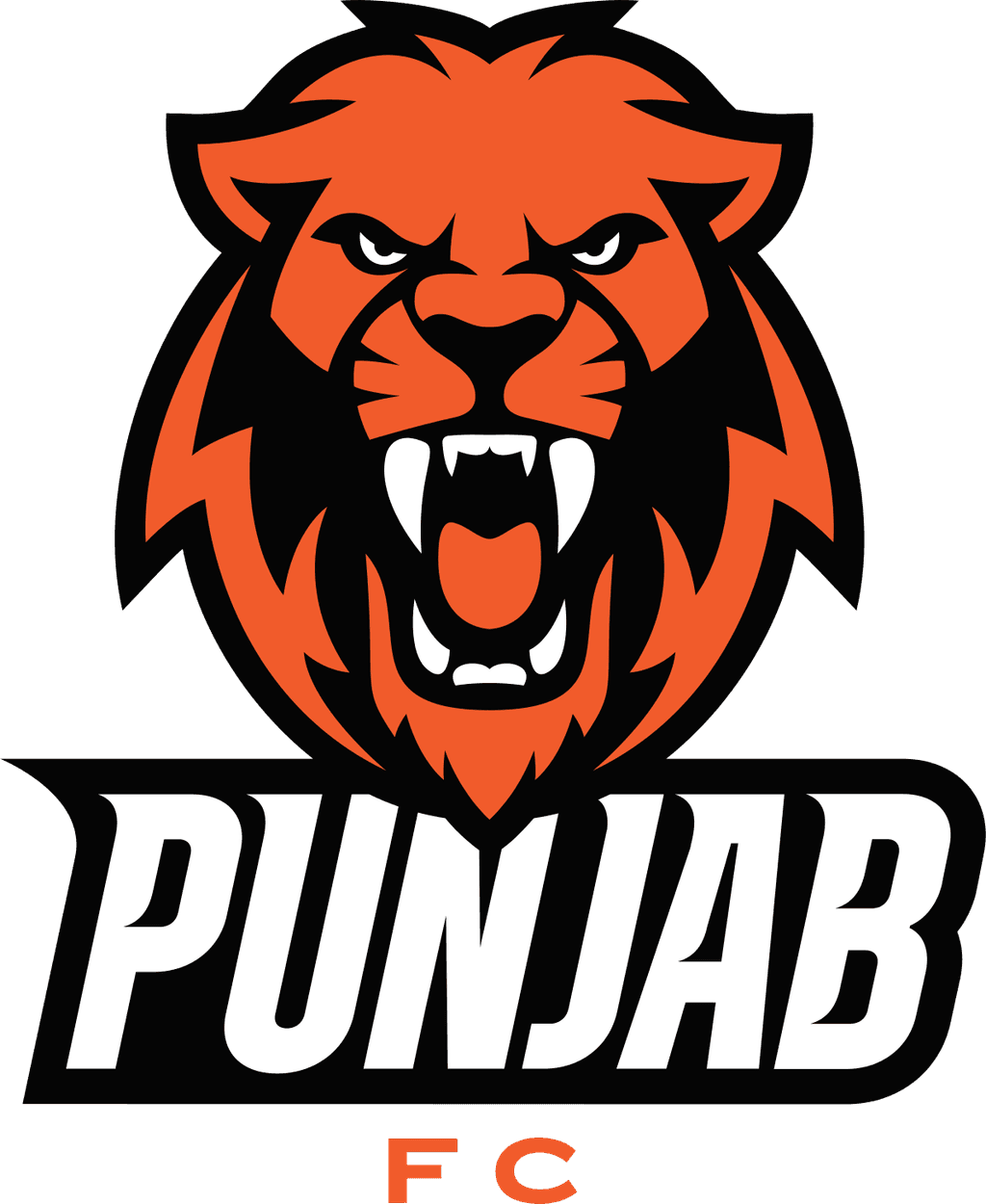 pun icon