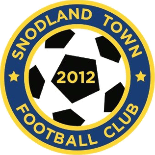 Snodland Town FC