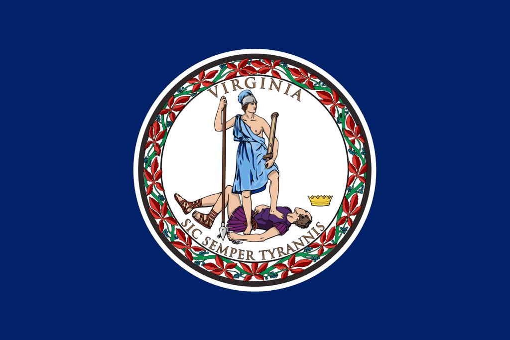 VA-02 House Election Winner card icon