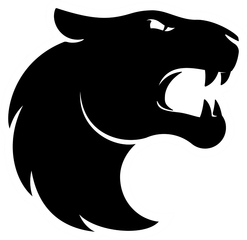icon for FURIA Esports