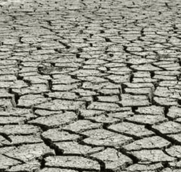 Will Virginia reach D4 (Exceptional Drought) by August 31, 2026? card icon